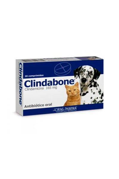 Clindamicina Comp