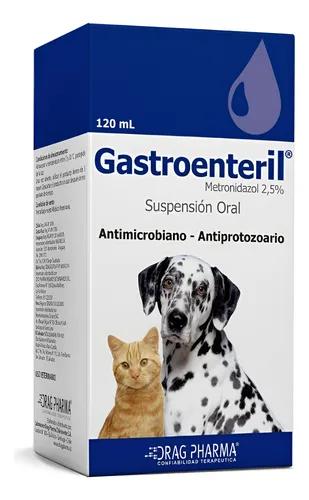 Gastroenteril